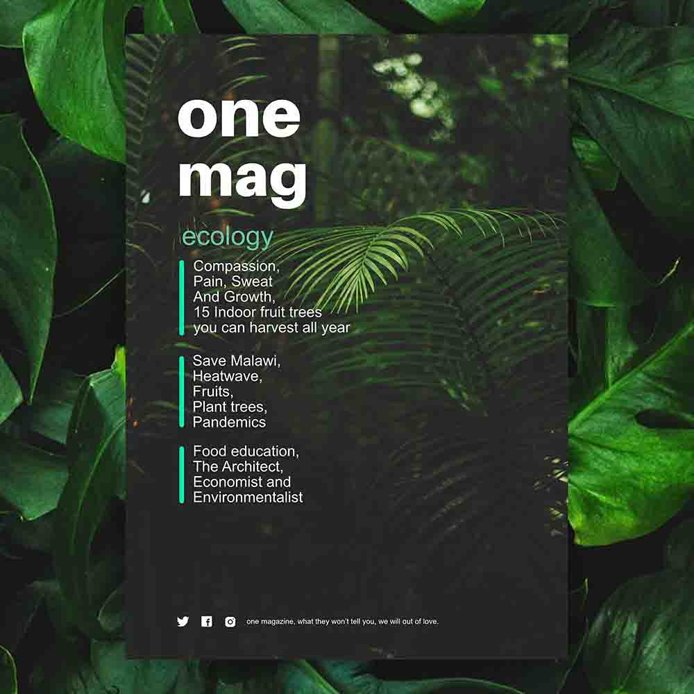 One magazine ecology blog image
